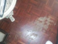  of property in Raceview