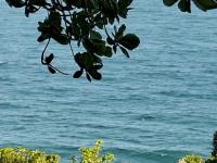  of property in Athlone Park