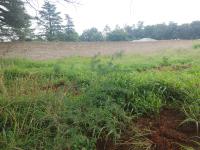  of property in Kookrus