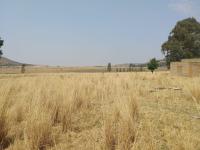  of property in Meyerton