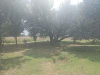  of property in Kookrus