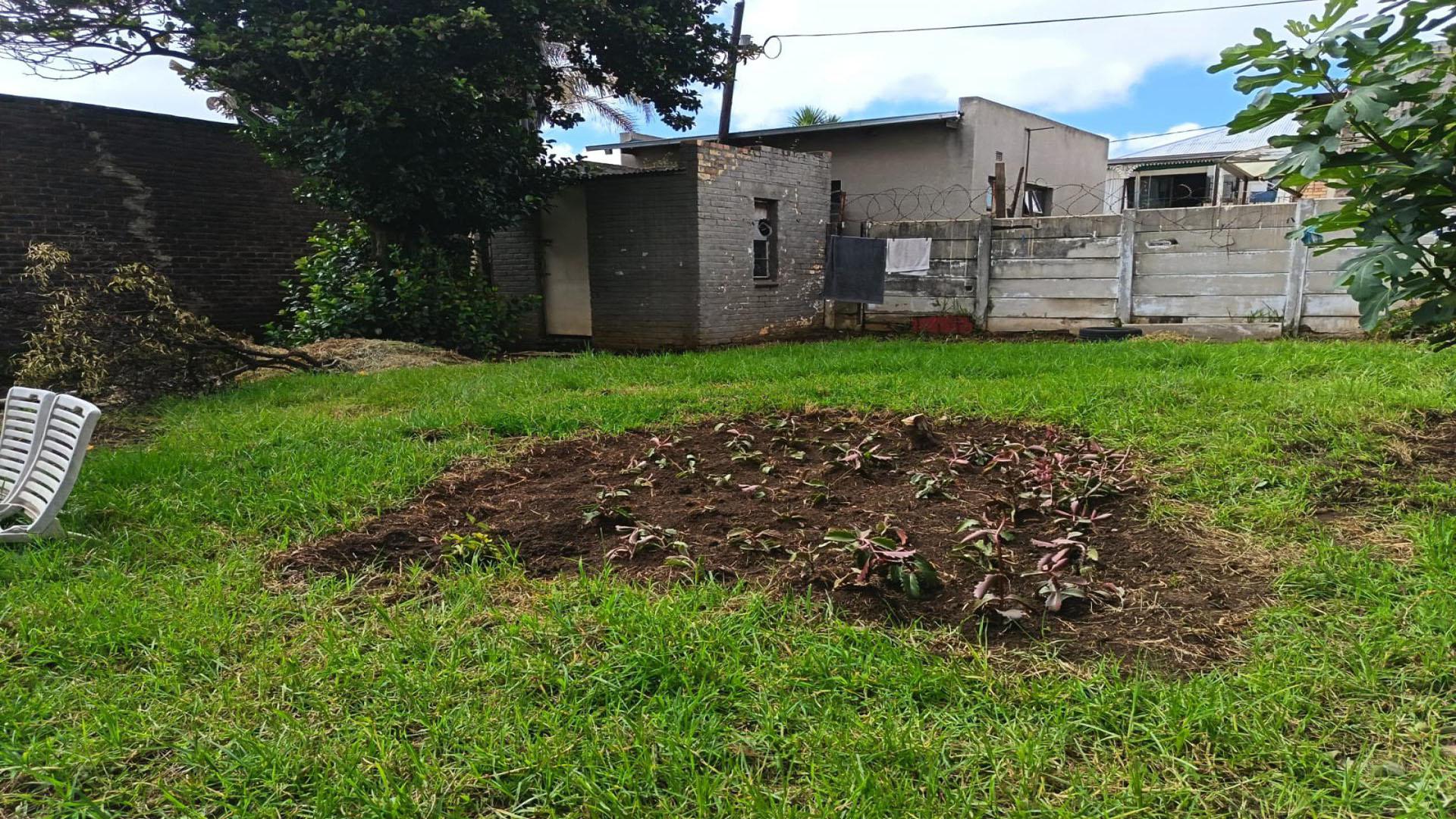 Garden of property in Newlands - JHB