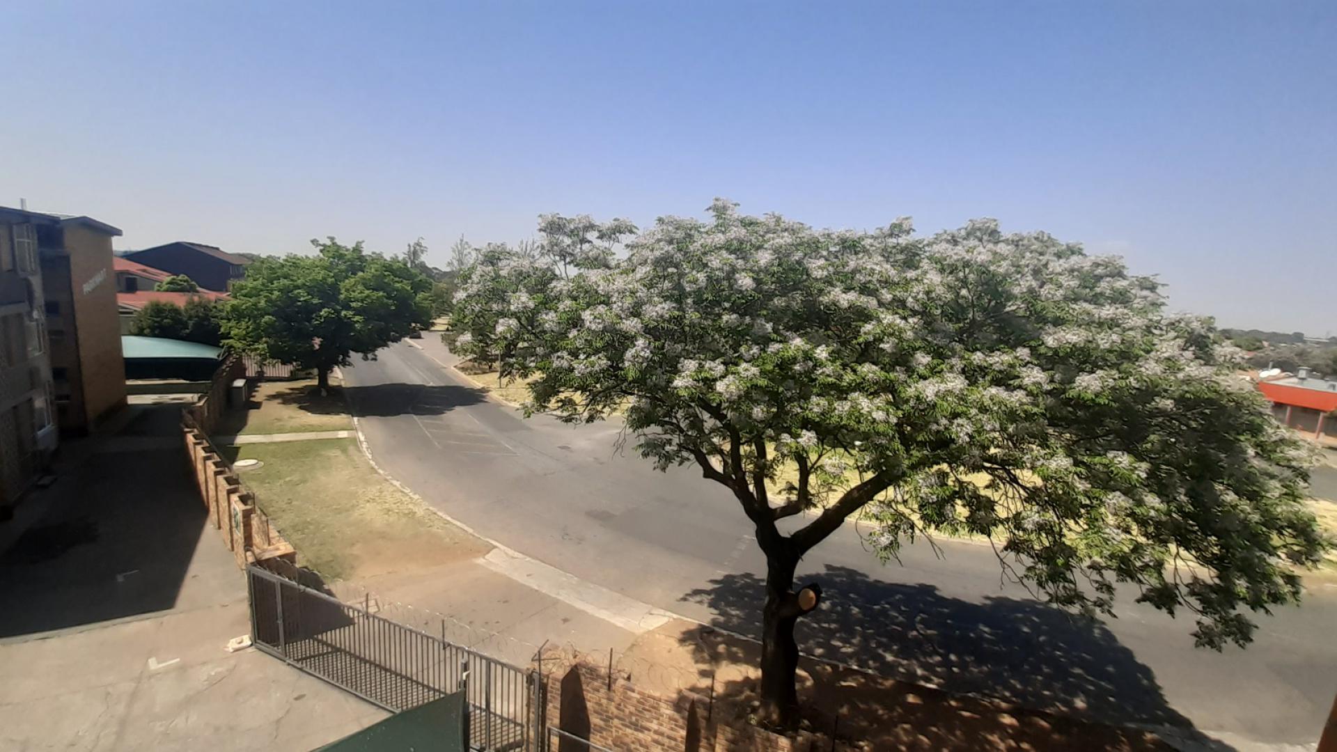  of property in Randhart