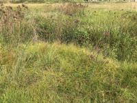  of property in Hendrina