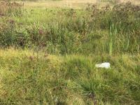  of property in Hendrina