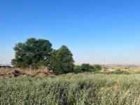  of property in Middelburg - MP