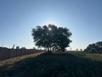  of property in Middelburg - MP