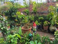  of property in Shallcross 