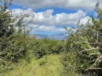  of property in Hoedspruit