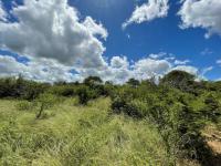  of property in Hoedspruit