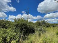  of property in Hoedspruit