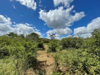  of property in Hoedspruit