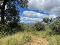  of property in Hoedspruit