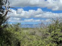  of property in Hoedspruit