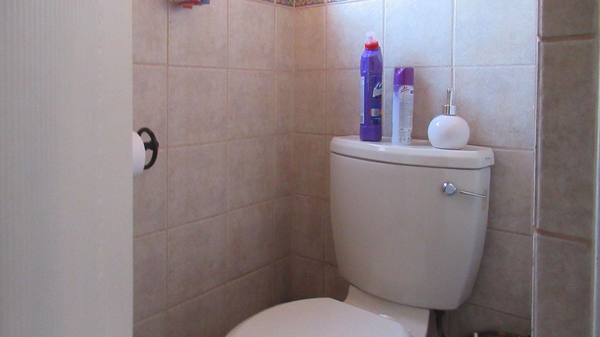 Guest Toilet - 2 square meters of property in The Hill