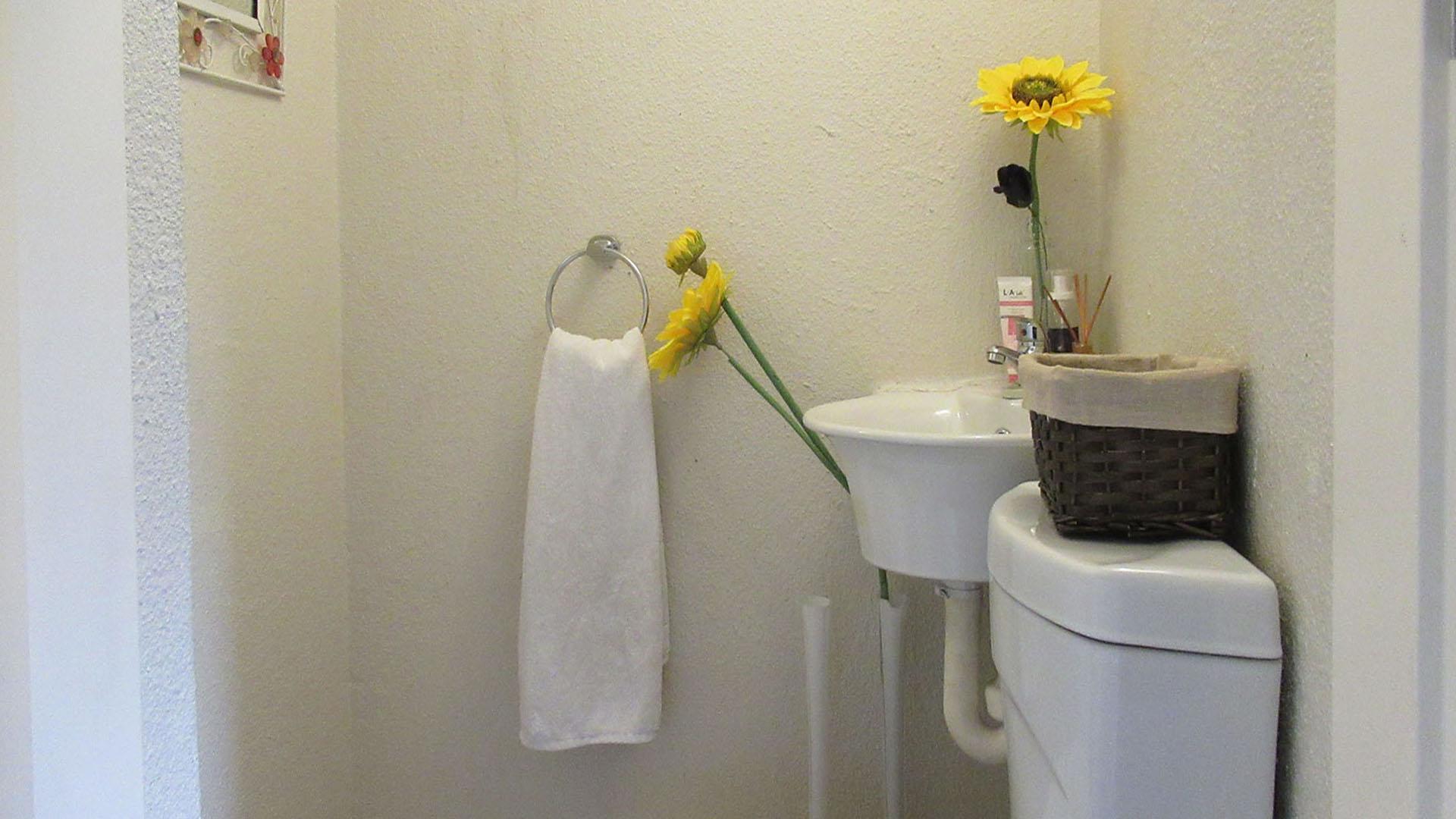 Guest Toilet - 2 square meters of property in Florida Glen