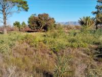  of property in Fishershaven