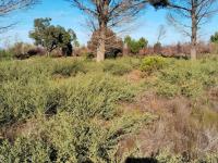  of property in Fishershaven