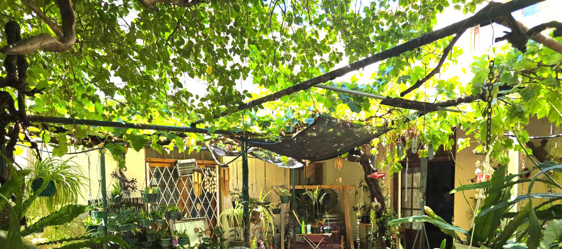  of property in Lemoenkloof