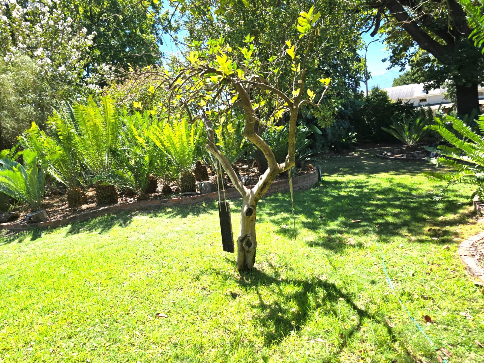  of property in Lemoenkloof