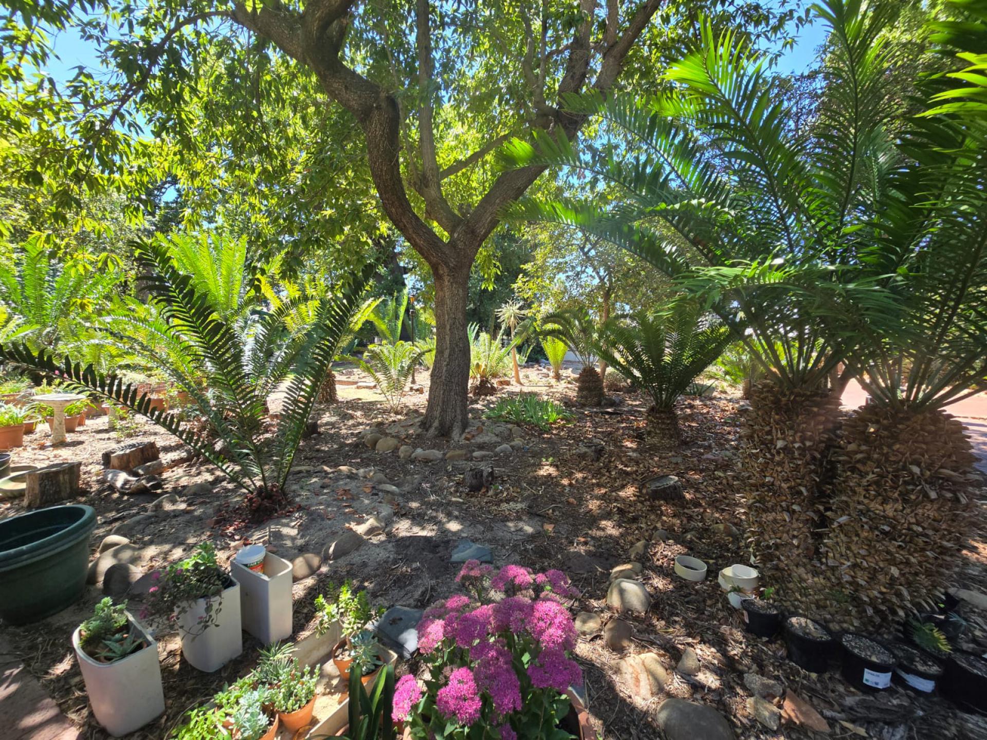  of property in Lemoenkloof