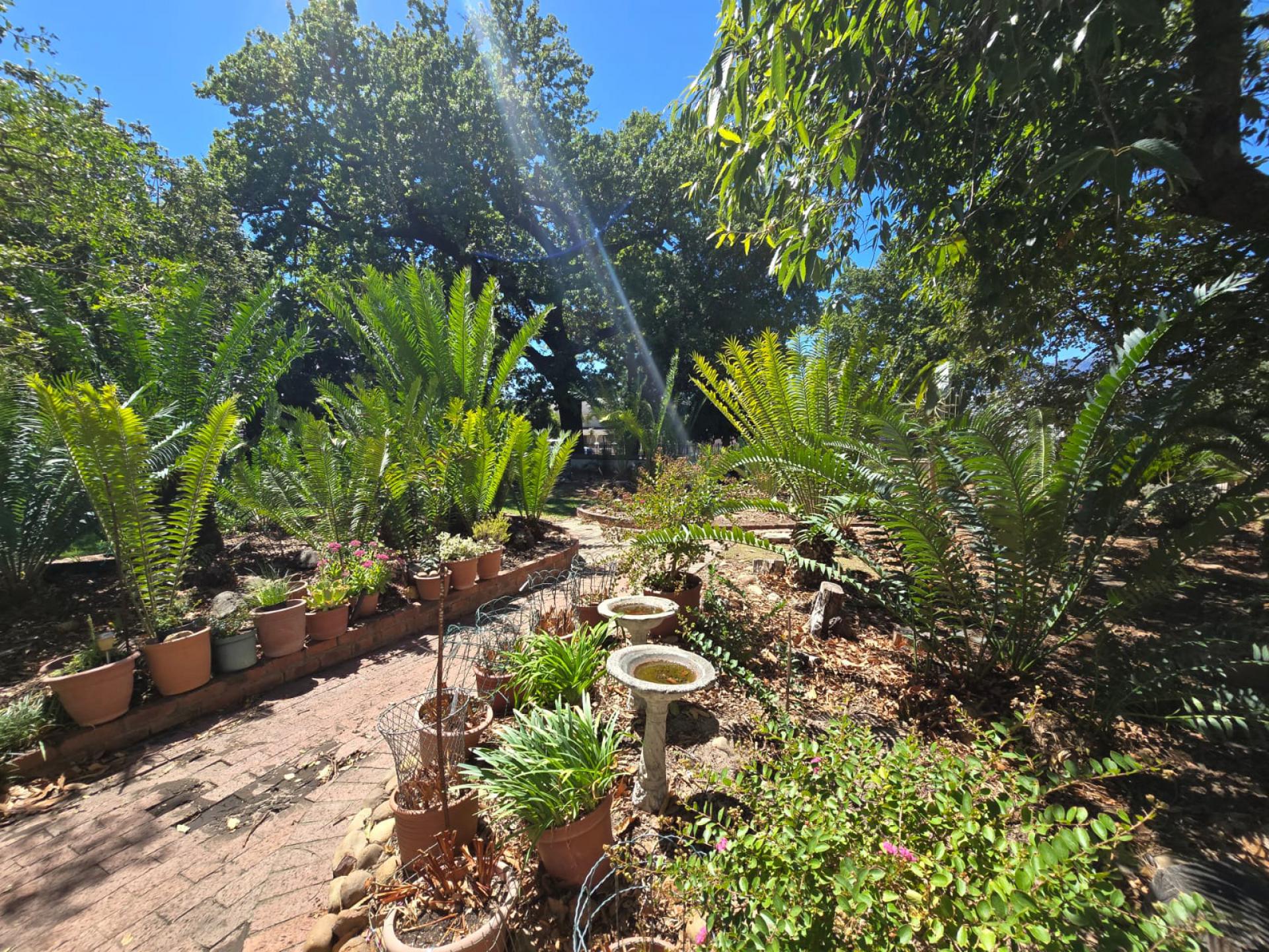  of property in Lemoenkloof