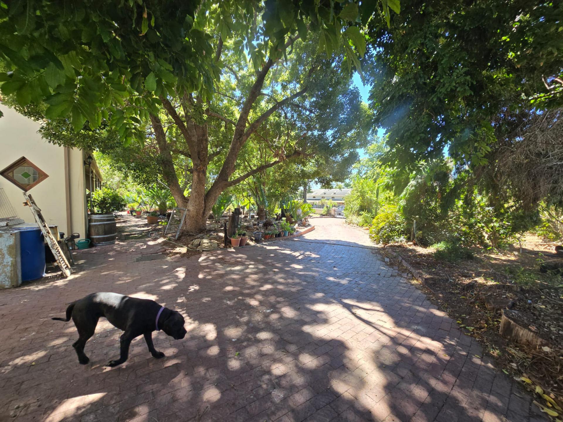  of property in Lemoenkloof