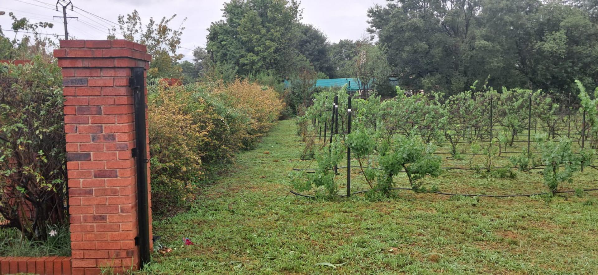  of property in Henley-on-Klip