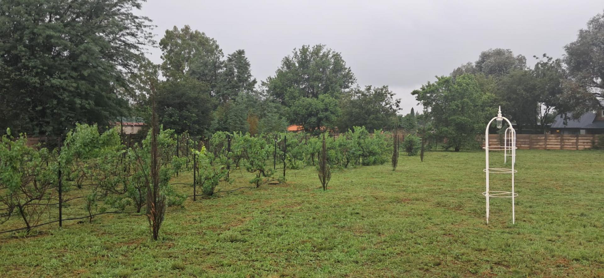  of property in Henley-on-Klip