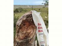  of property in Alexandria