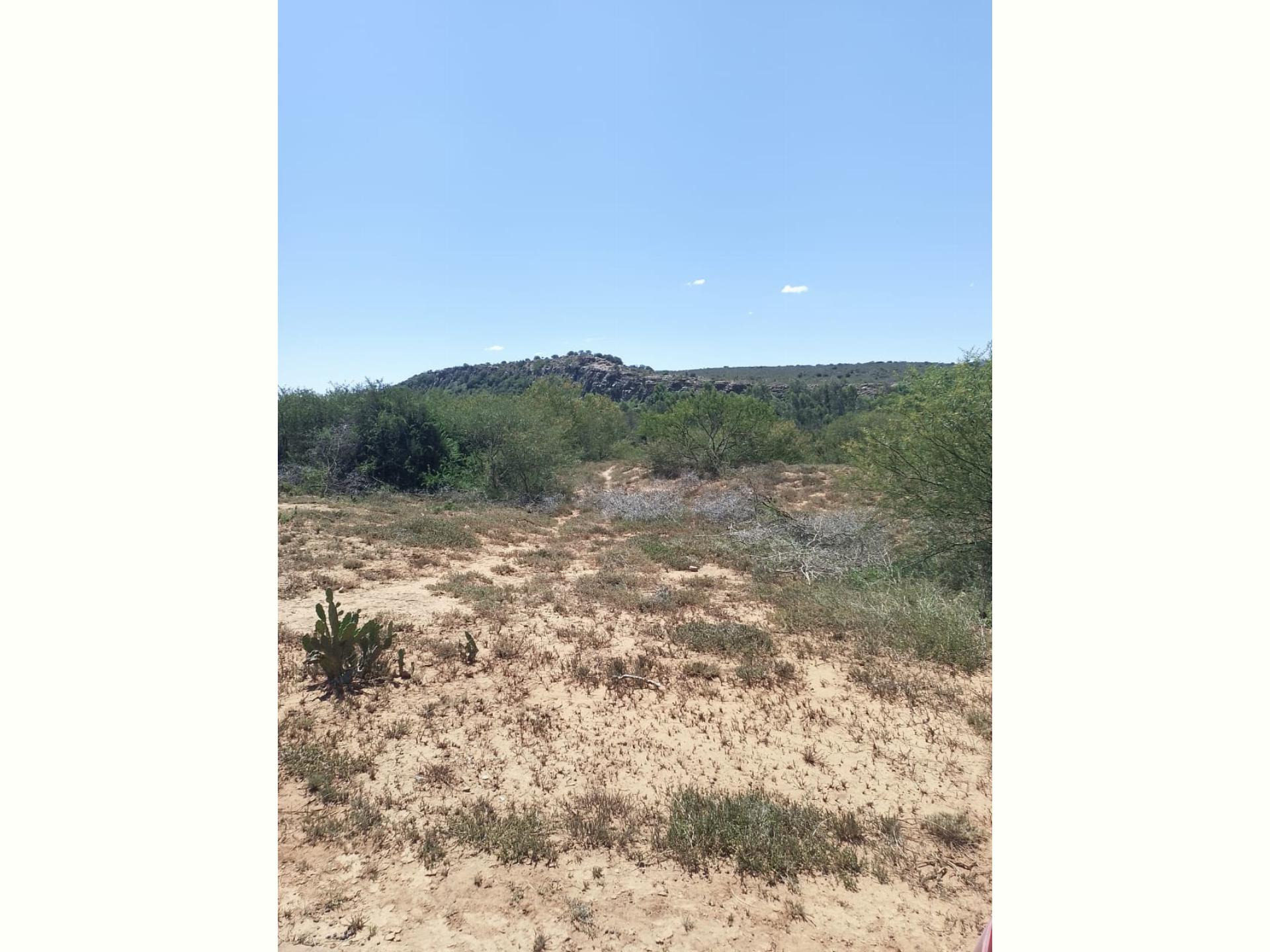  of property in Alicedale