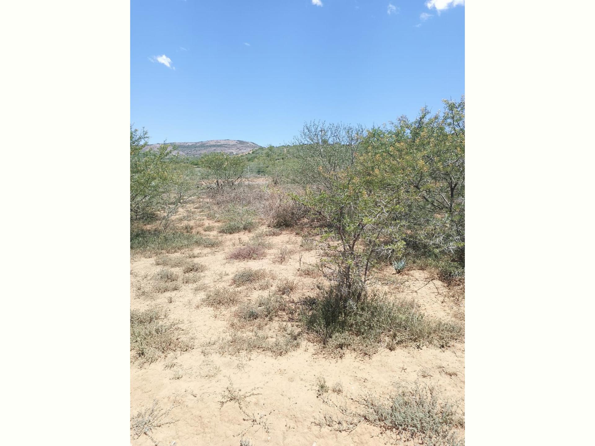  of property in Alicedale