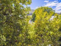  of property in Gardens