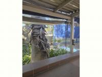 3 Bedroom 2 Bathroom House to Rent for sale in Bedfordview