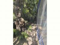  of property in Bedfordview