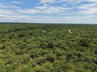  of property in Hoedspruit