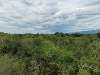  of property in Hoedspruit