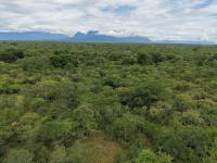  of property in Hoedspruit