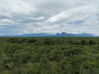  of property in Hoedspruit