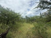  of property in Hoedspruit