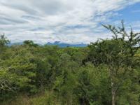  of property in Hoedspruit