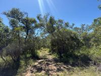  of property in Hoedspruit