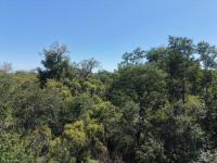  of property in Hoedspruit