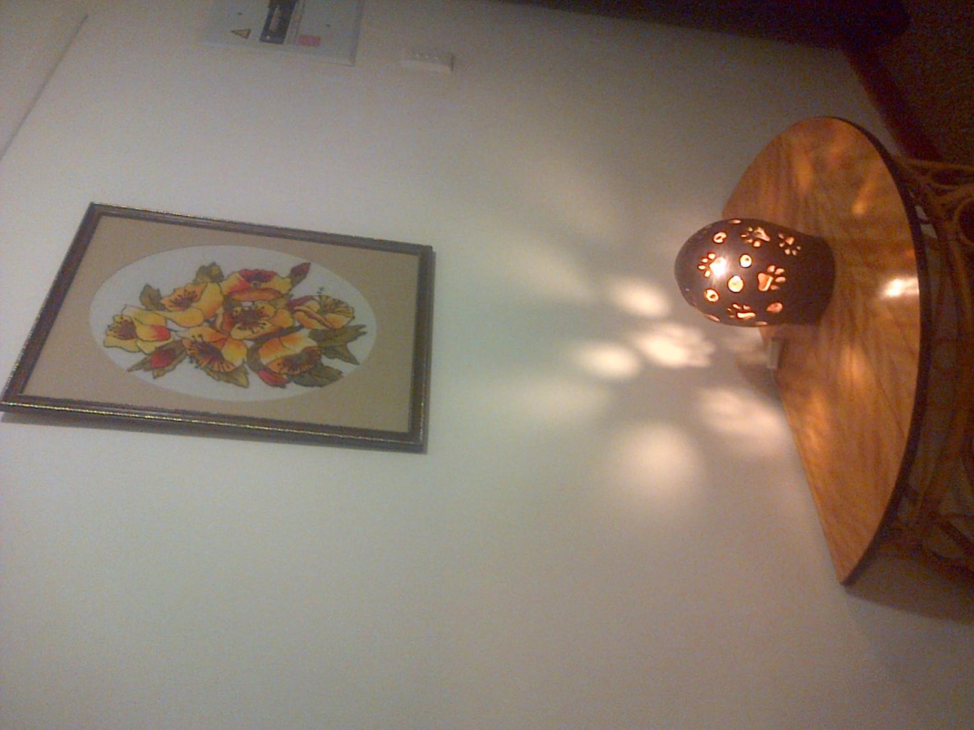  of property in Williston