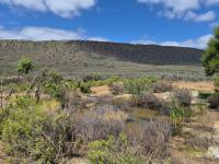  of property in Worcester