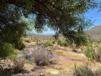  of property in Worcester