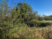  of property in Polokwane