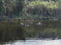  of property in The Lakes