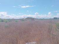 Land for Sale for sale in Schaapkraal