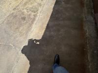  of property in Hurst Hill